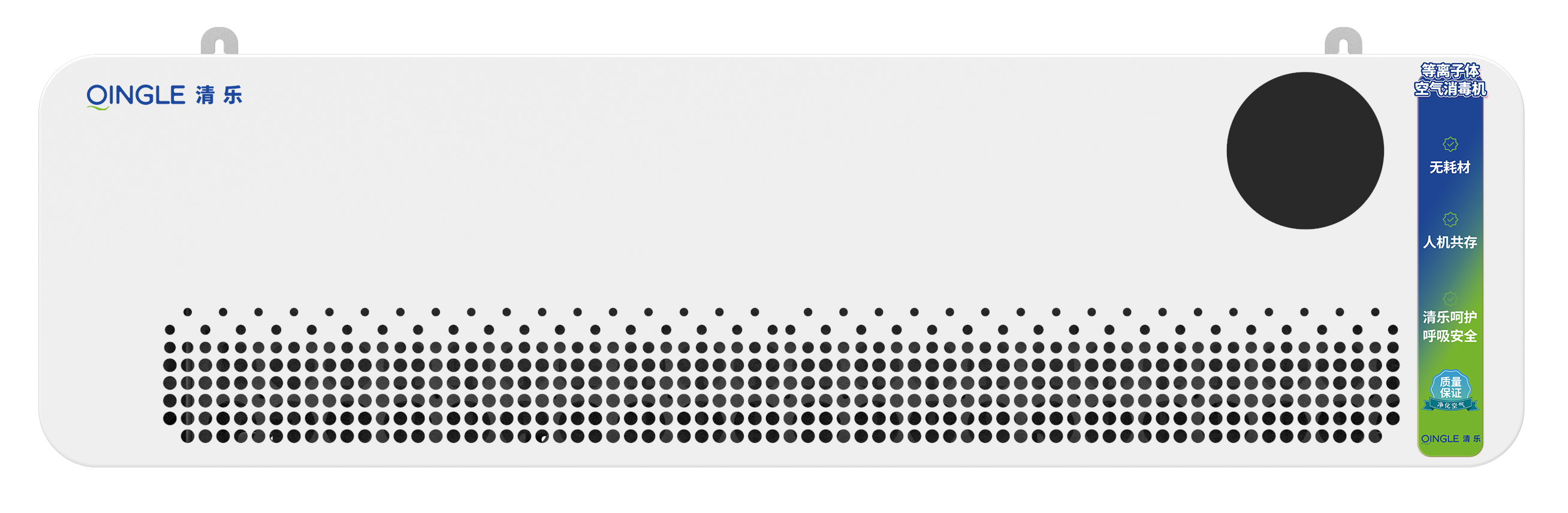 B-D550壁挂式等离子体空气消毒机