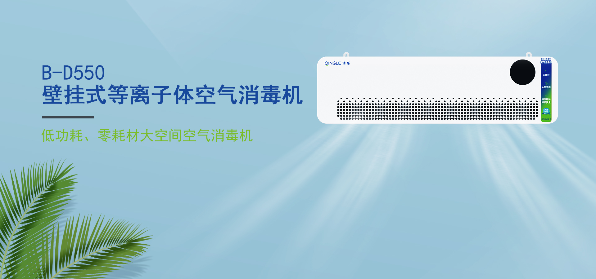 B-D550壁挂式等离子体空气消毒机 - 2025062008035426